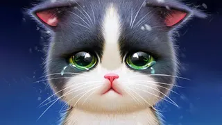 Kitten Bowling